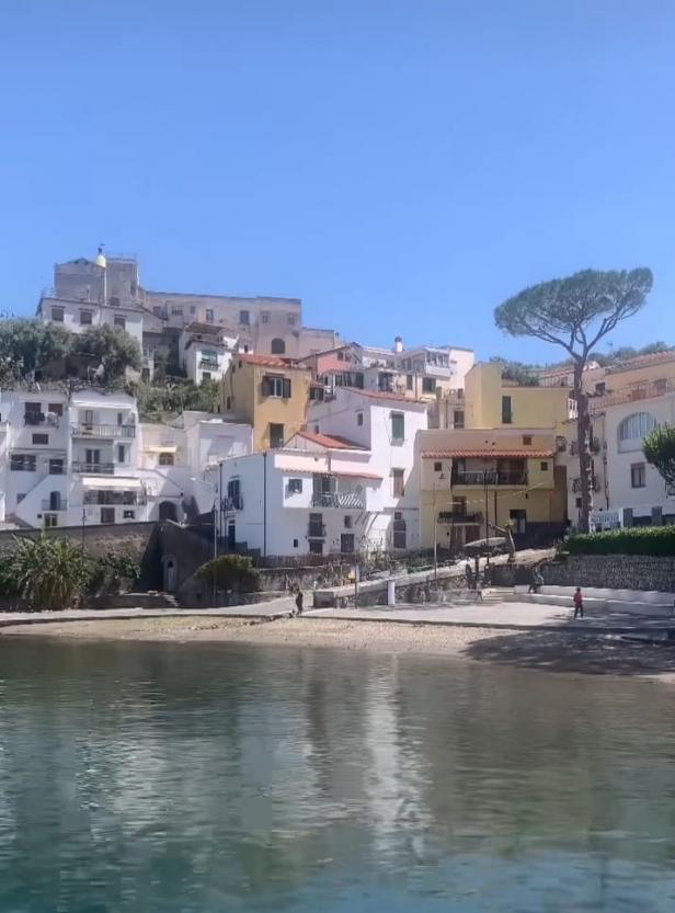 Ristorante Da Michele-4